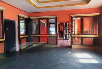 Spatiu comercial Piata Unirii-Rond Cosbuc, trafic pietonal Spatiu comercial Piata Unirii-Rond Cosbuc, trafic pietonal - 7