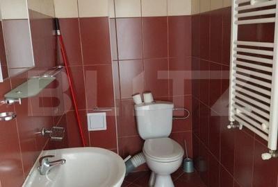 Spațiu comercial, de 110 mp, în Paltin - 1