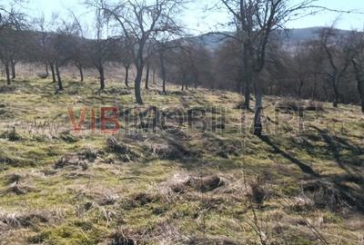 Teren de 3200000 mp, în Conop - 5