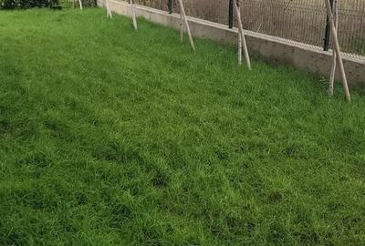 AP 3CAM.+GRADINA - COMPLEX PREMIUM FINALIZAT / ASTORIUM GARDEN! - 4