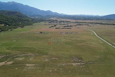 Teren de 14500 mp, în Sud - 7