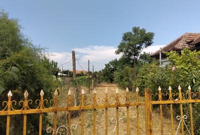 Casă individuală cu 3 camere cu Teren 2110 Mp în Domănești - 2