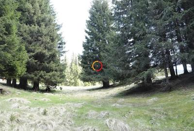 Teren de 50000 mp, în Pietroșița - 7