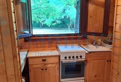 Casă individuală cu 4 camere cu Canalizare în Finiș - 10