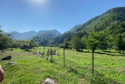 Teren de vânzare – 1036 mp, Căprăreț, Comuna Câineni, jud. Vâlcea Preț negociabi - 1
