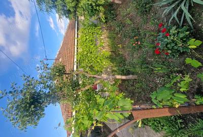 Casa de Vanzare Slobozia Noua Casa de Vanzare Slobozia Noua - 6