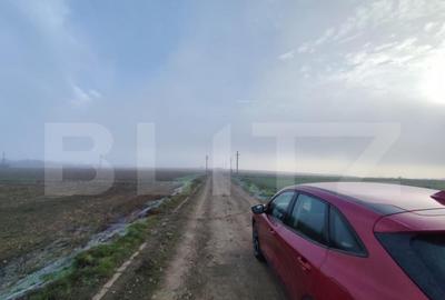 Teren 8400 mp extravilan, Miroslava-Vorovesti - 3