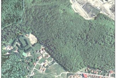 Teren de vânzare intravilan Brașov - 3