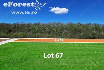 Teren Construcții intravilan de 800 mp, în Crevedia - 6
