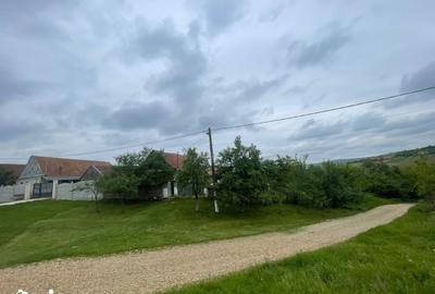 Casă cu 3 camere cu Teren 2472 Mp în Tămășeu - 1