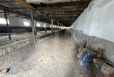 Spațiu comercial, de 12,599 mp, în Central - 7