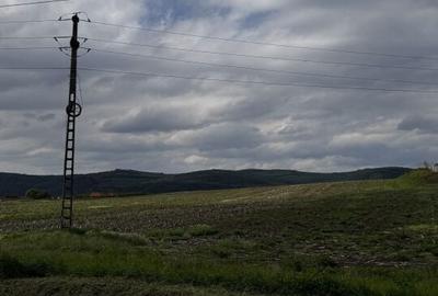 Teren de 4400 mp, în Sânpaul - 1