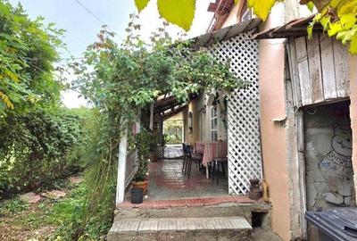 Casă cu Teren 6762 Mp în Copăcel - 2