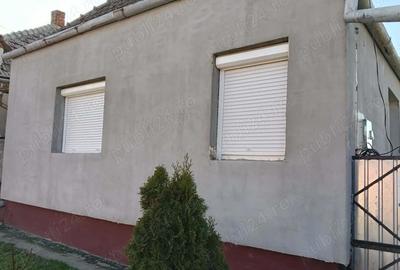 Casă cu 3 camere cu Teren 2800 Mp în Tarcea - 9
