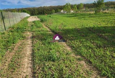 Teren Construcții intravilan de 5600 mp, în Ciofliceni - 2