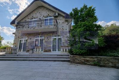 INCHIRIERE SPATIU COMERCIAL-2 VILE | ZONA MOGOSOAIA - 1