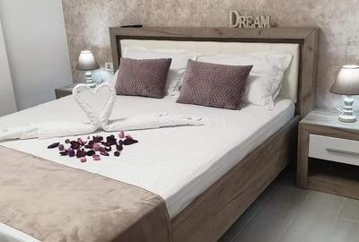 Apartament cu 2 camere decomandat, mobilat în Est - 10