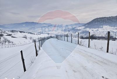 Teren de 4301 mp, în Bârsana - 5