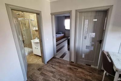 Casa noua in vinga - 2