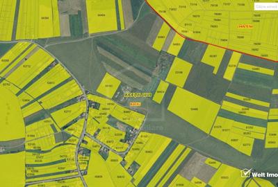 Teren 7860, intravilan, Salistea Noua, pretabil proiect imobiliar - 3