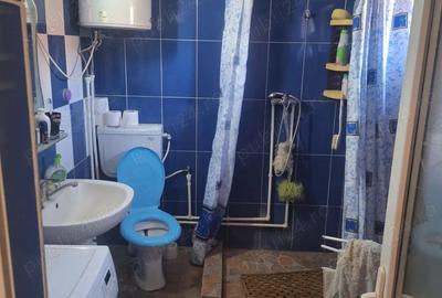 Casă cu 3 camere cu Teren 1100 Mp în Seaca de Câmp - 3