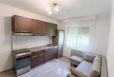 Apartament cu 2 camere semidecomandat în Nufărul
