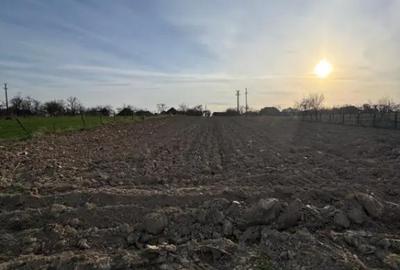 Casă cu 2 camere cu Teren 4700 Mp în Asuaju de Sus - 2