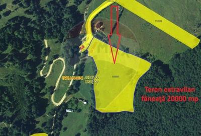 Teren 20000 mp, sat Dalghiu, com Vama Buzaului