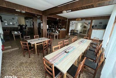 Casă cu 9 camere cu Teren 2035 Mp în Maliuc - 6
