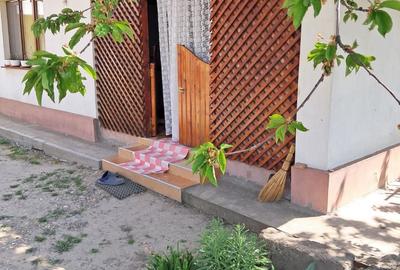 Casă cu 2 camere în Țifești - 3