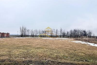 Teren Construcții intravilan de 900 mp, în Săucești - 1