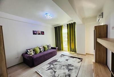 APARTAMENT CU PRELUARE CHIRIASI, 1 CAMERA DECOMANDAT, - 9