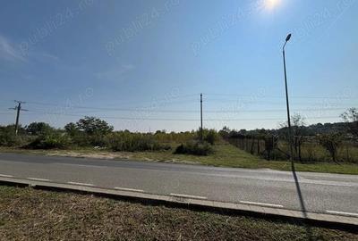 PROPRIETAR vind teren 4000 mp la PADUREA VERDE - Calea Timisoarei - langa POLIGON AJVPS - 2