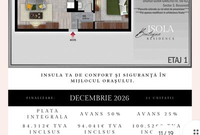 Theodor Pallady -Direct dezvoltator - 2