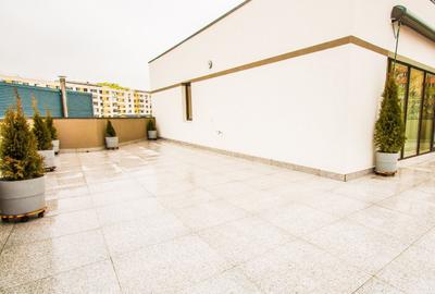 4 Camere Iancului cu Centrala Proprie si Terasa 85 mp - 13