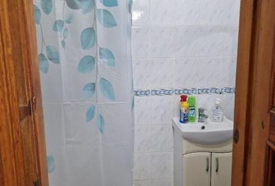 Garsoniera de inchiriat Gorjului - 4