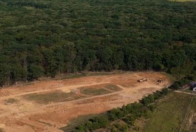 Teren cu deschidere la padurea Snagov-preturi PROMOTIONALE - 3