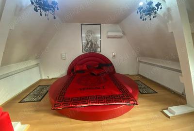 Vila ultracentrala, 390 mp utili,si birou cu acces stradal - 10