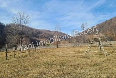 Teren de 4681 mp, în Bărăști - 11