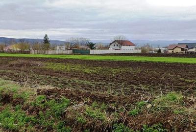 Teren de 3500 mp, în Central - 3