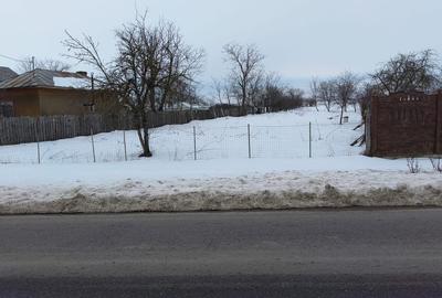 Teren de 918 mp, în Niculești - 6