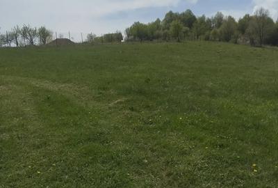 Teren de 3774 mp, în Ghelari - 1