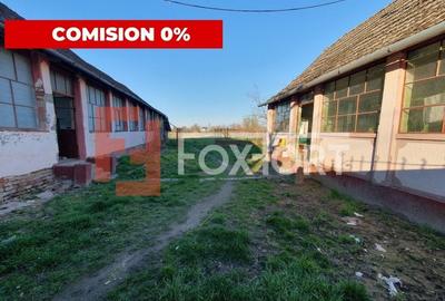 Casă individuală cu 4 camere în Pădureni (Jebel) - 7