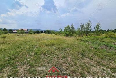 Teren intravilan in Banesti--925 m--40e - 4