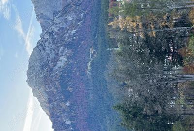 Casa de vanzare - 10