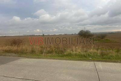 Teren intravilan de 22800 mp, în Joița - 8