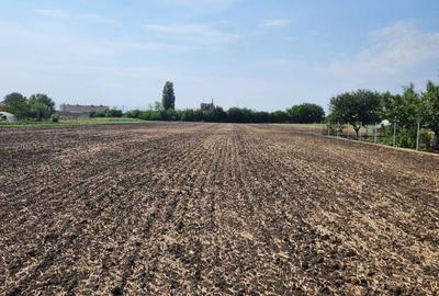 Teren de 7610 mp, în Curtici - 3
