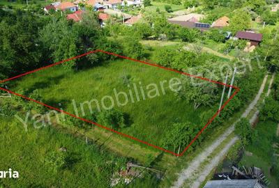 Teren de 822 mp, în Albești - 3