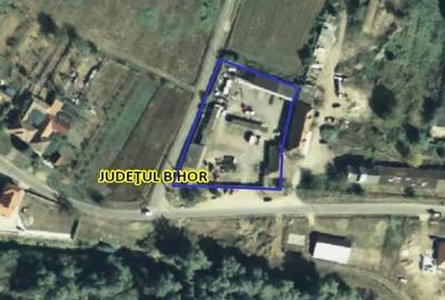 Spa?iu industrial complet utilat, Dragane?ti, Bihor - 9