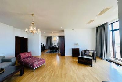 Aleea Privighetorilor- Penthouse 833 mp utili mobilat complet 3600 Euro + TVA - 2